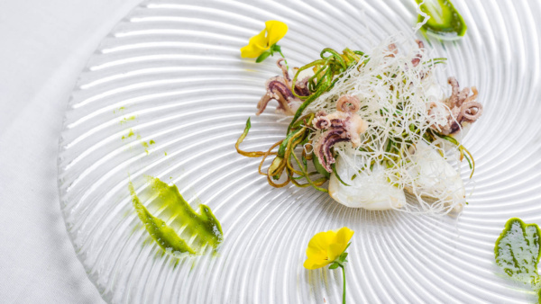 Squid, octopus, courgettes