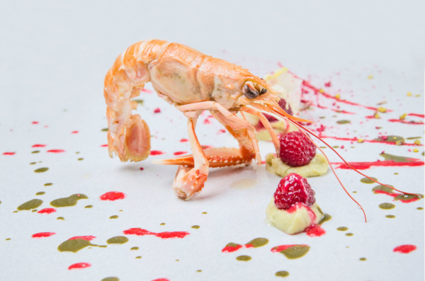 Norway lobster and raspberry