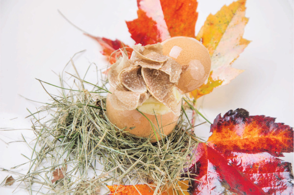 Egg and truffle