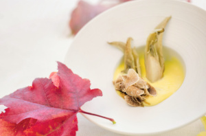 Fonduta